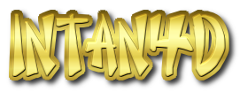 logo INTAN4D